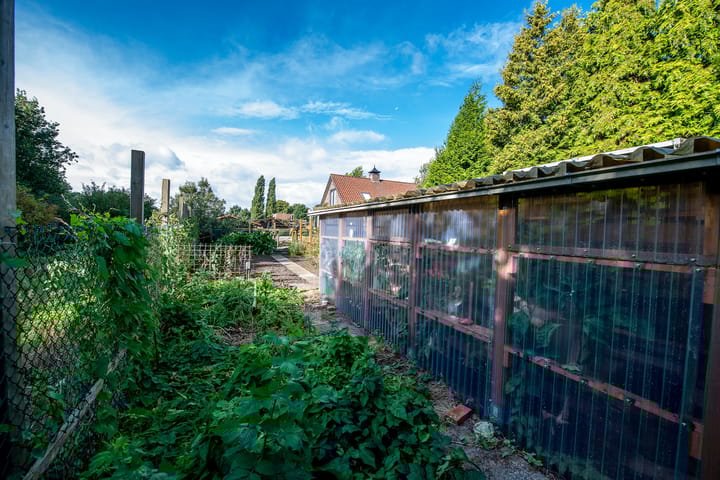 Foto 43 van Jipsingboertangerweg 143