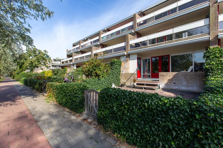 Foto 1 van Strengen 100