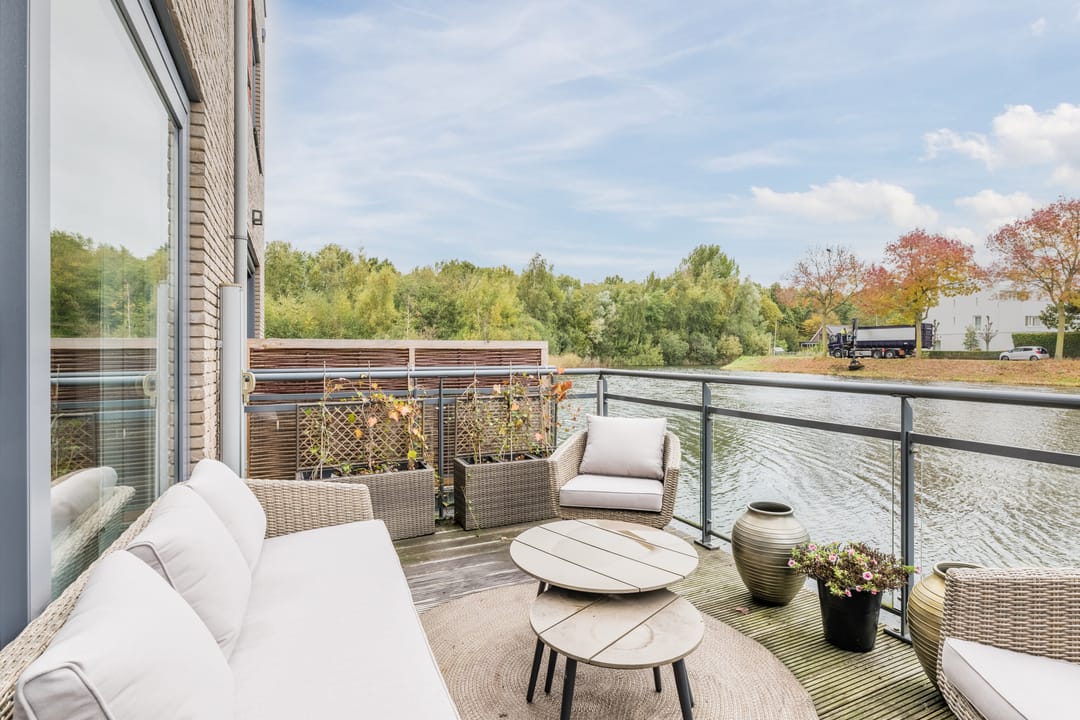 Foto 2 van Priemkruid 100