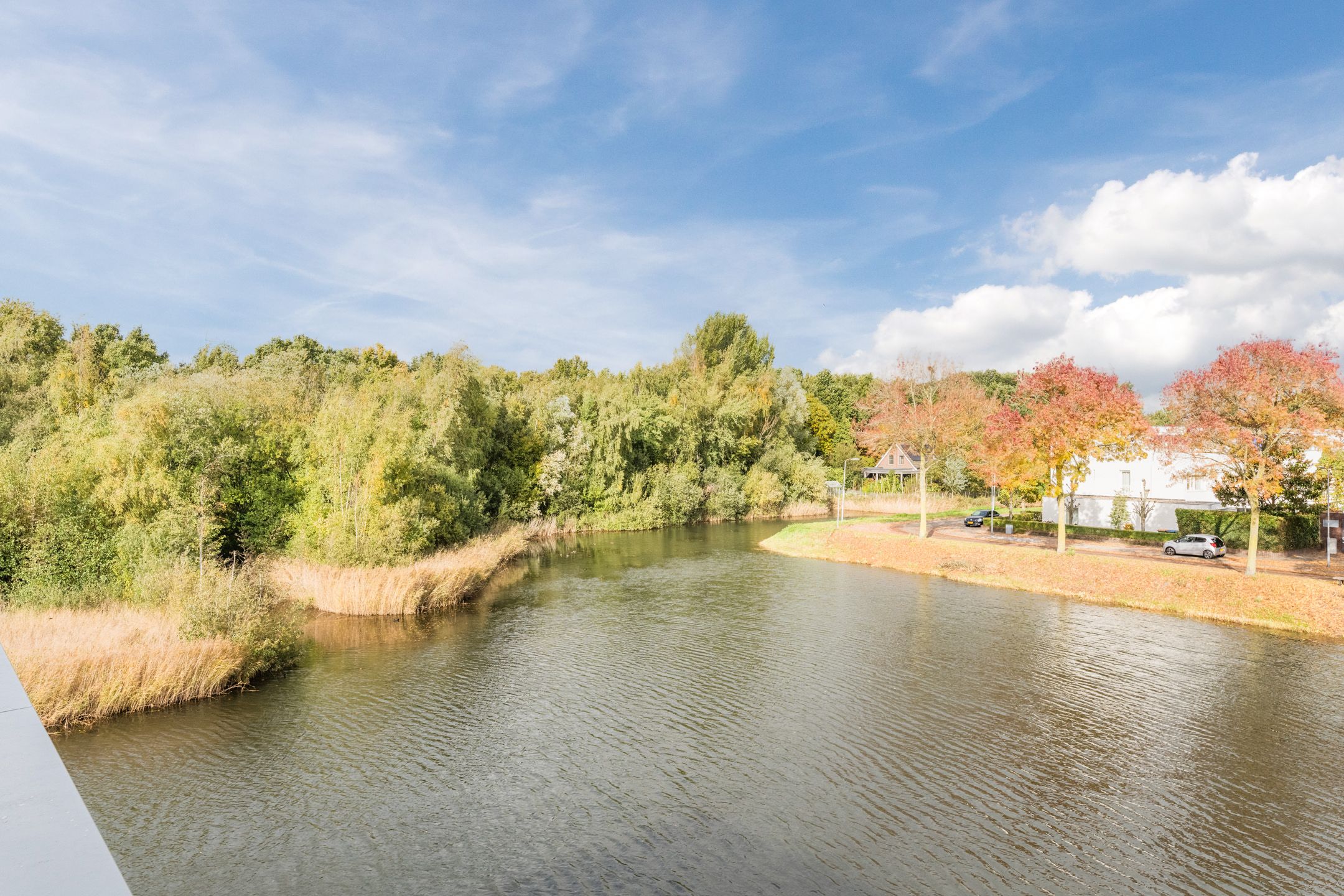 Foto 3 van Priemkruid 100