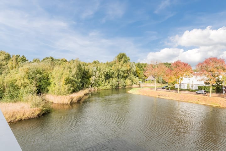 Photo 3 of Priemkruid 100