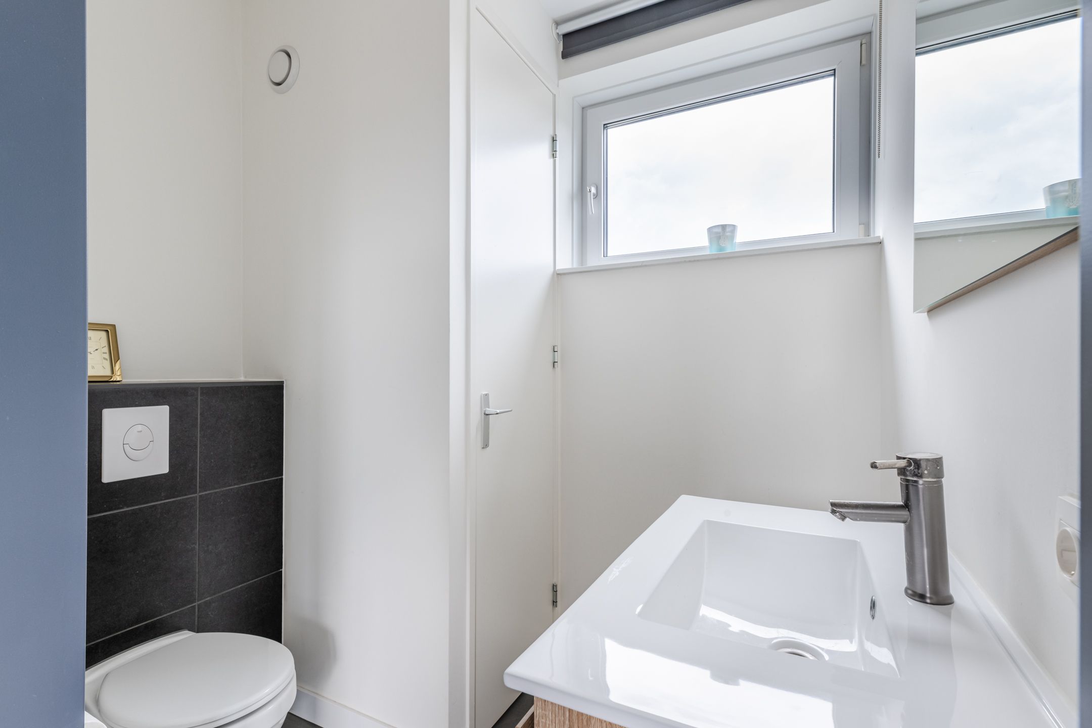 Foto 24 van Priemkruid 100