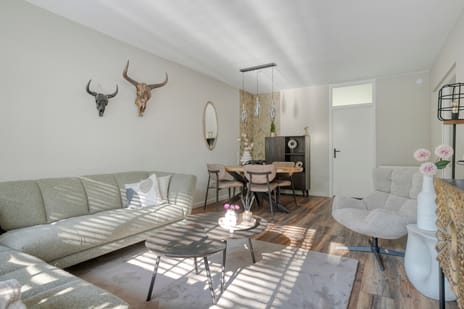 Pollux 141 secondary image