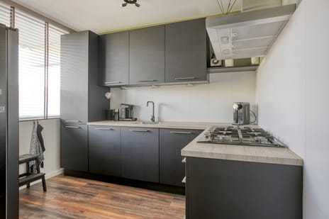 Pollux 141 tertiary image