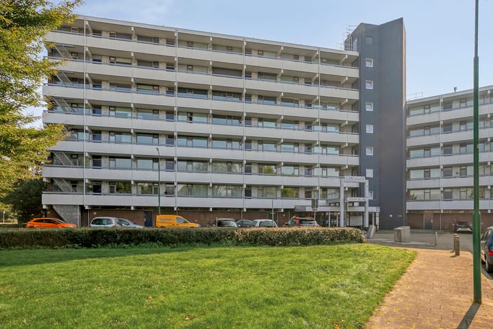 Photo 6 of Pollux 141