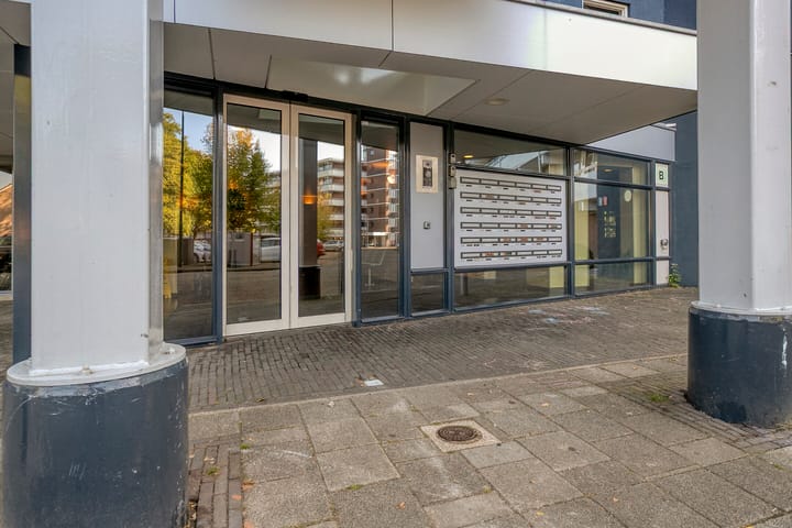 Photo 7 of Pollux 141