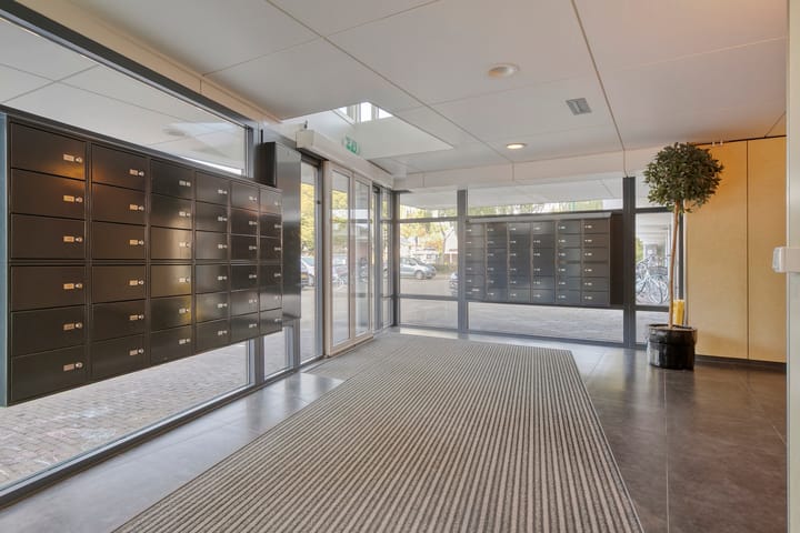 Photo 8 of Pollux 141