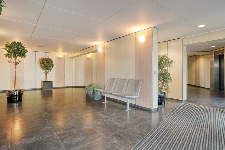 Photo 10 of Pollux 141