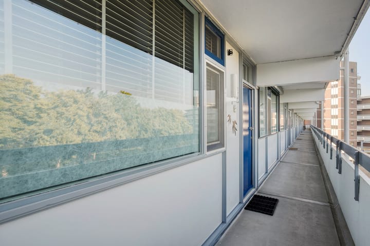 Photo 11 of Pollux 141