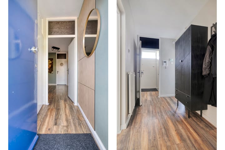 Photo 12 of Pollux 141