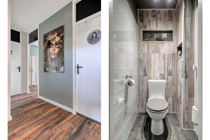 Photo 13 of Pollux 141