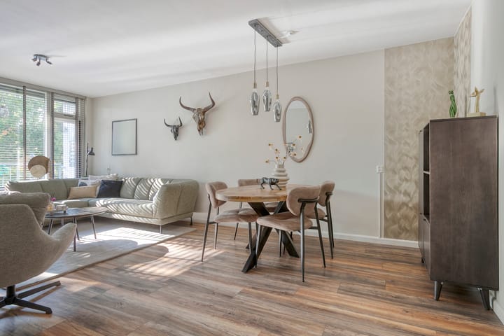 Photo 19 of Pollux 141