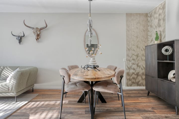 Photo 20 of Pollux 141