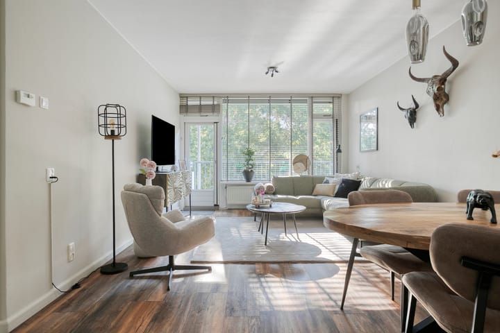 Photo 21 of Pollux 141