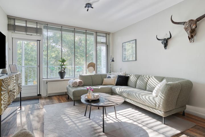 Photo 22 of Pollux 141