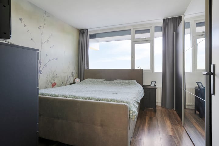 Photo 28 of Pollux 141