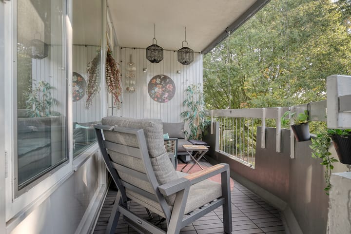 Photo 31 of Pollux 141