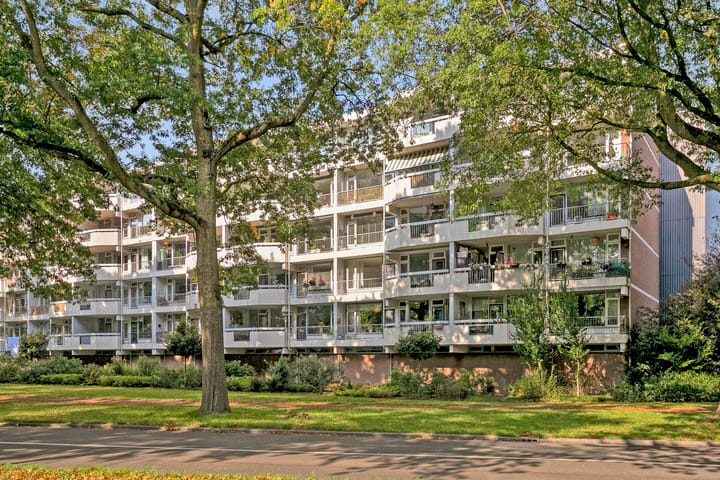 Photo 34 of Pollux 141