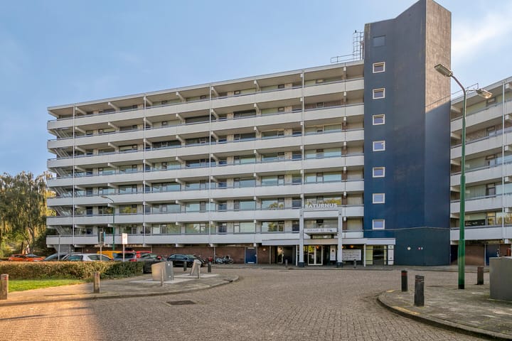 Photo 35 of Pollux 141