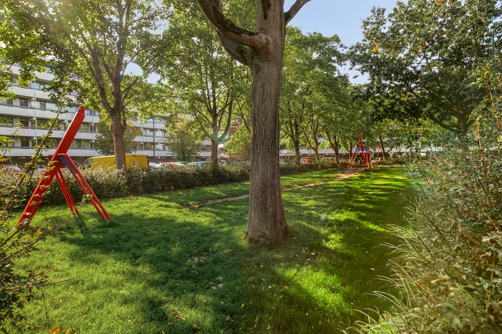 Photo 33 of Pollux 141