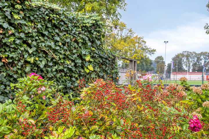 Foto 43 van Floris van Brakellstraat 22