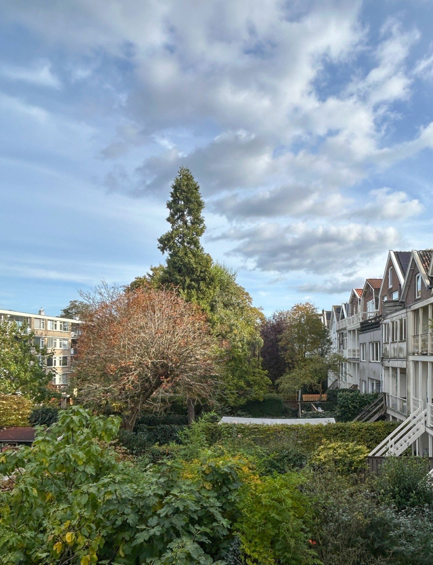 Foto 39 van Tollensstraat 106