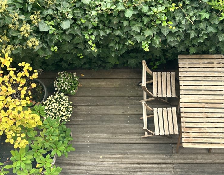 Foto 40 van Tollensstraat 106