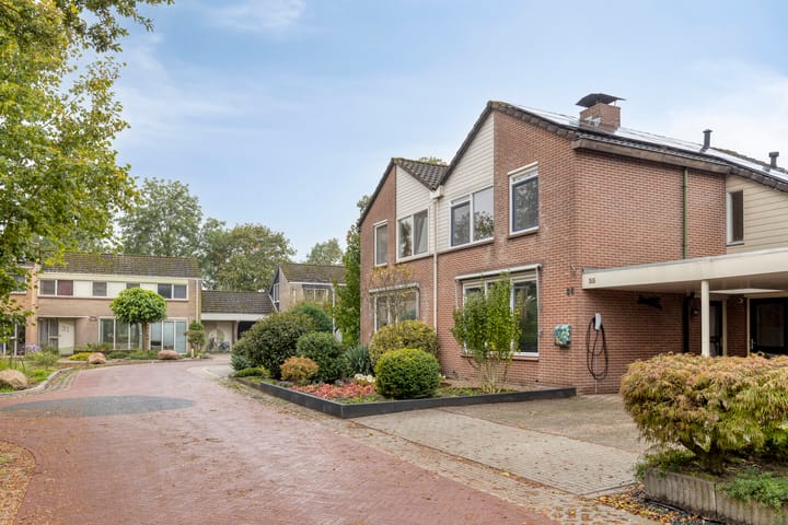 Photo 40 of Rozenkamp 35