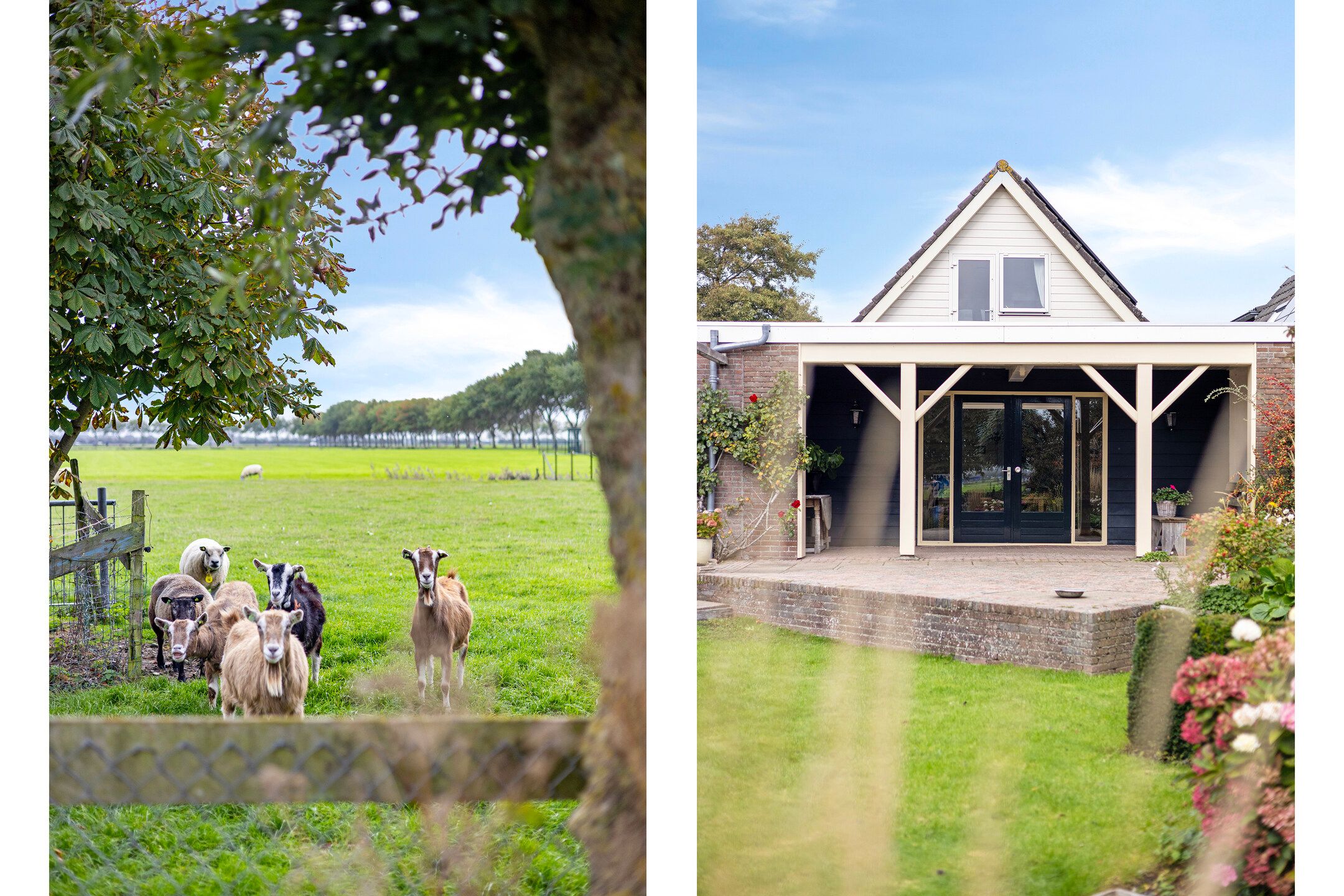 Foto 27 van Kalverdijk 75