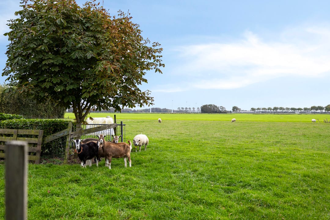 Foto 28 van Kalverdijk 75