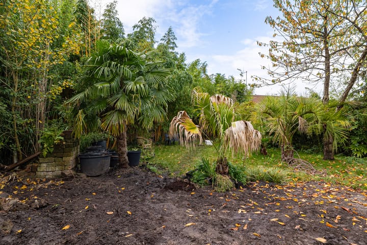 Foto 28 van Raiffeisenstraat 25