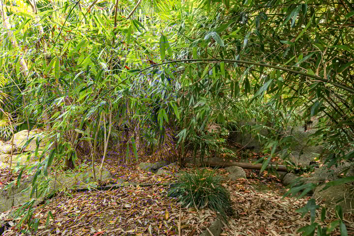 Foto 36 van Raiffeisenstraat 25