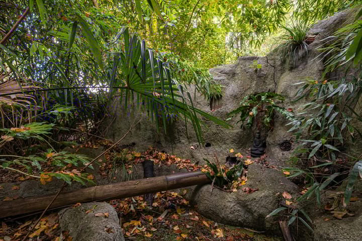 Foto 37 van Raiffeisenstraat 25