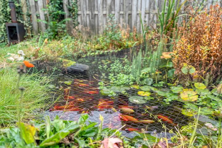 Photo 24 of Oude Vriezenveenseweg 48