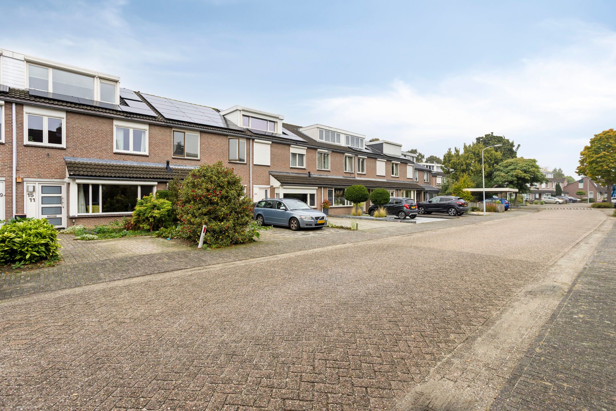 Foto 3 van Hoogmeer 1511