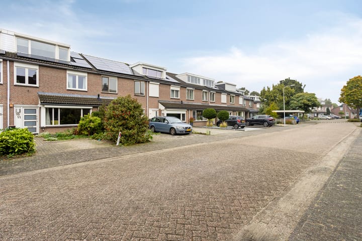 Foto 3 van Hoogmeer 1511