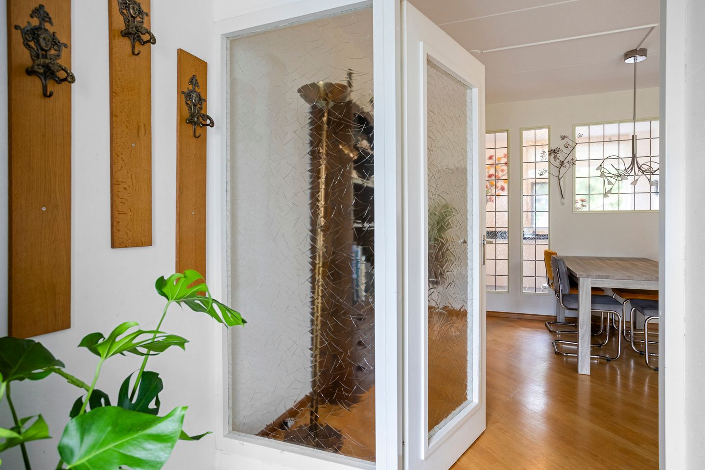 Foto 5 van Hoogmeer 1511