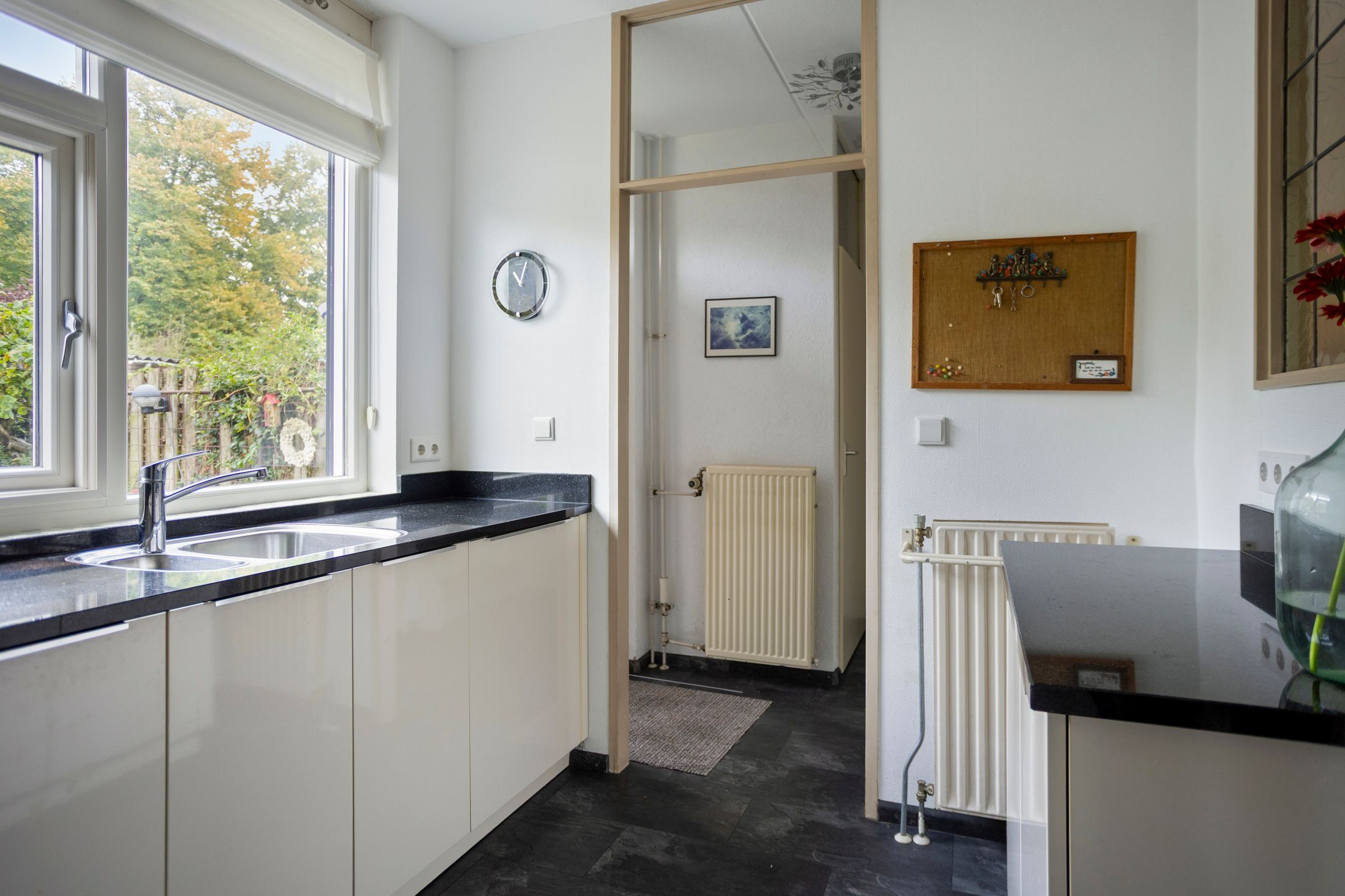 Foto 12 van Hoogmeer 1511