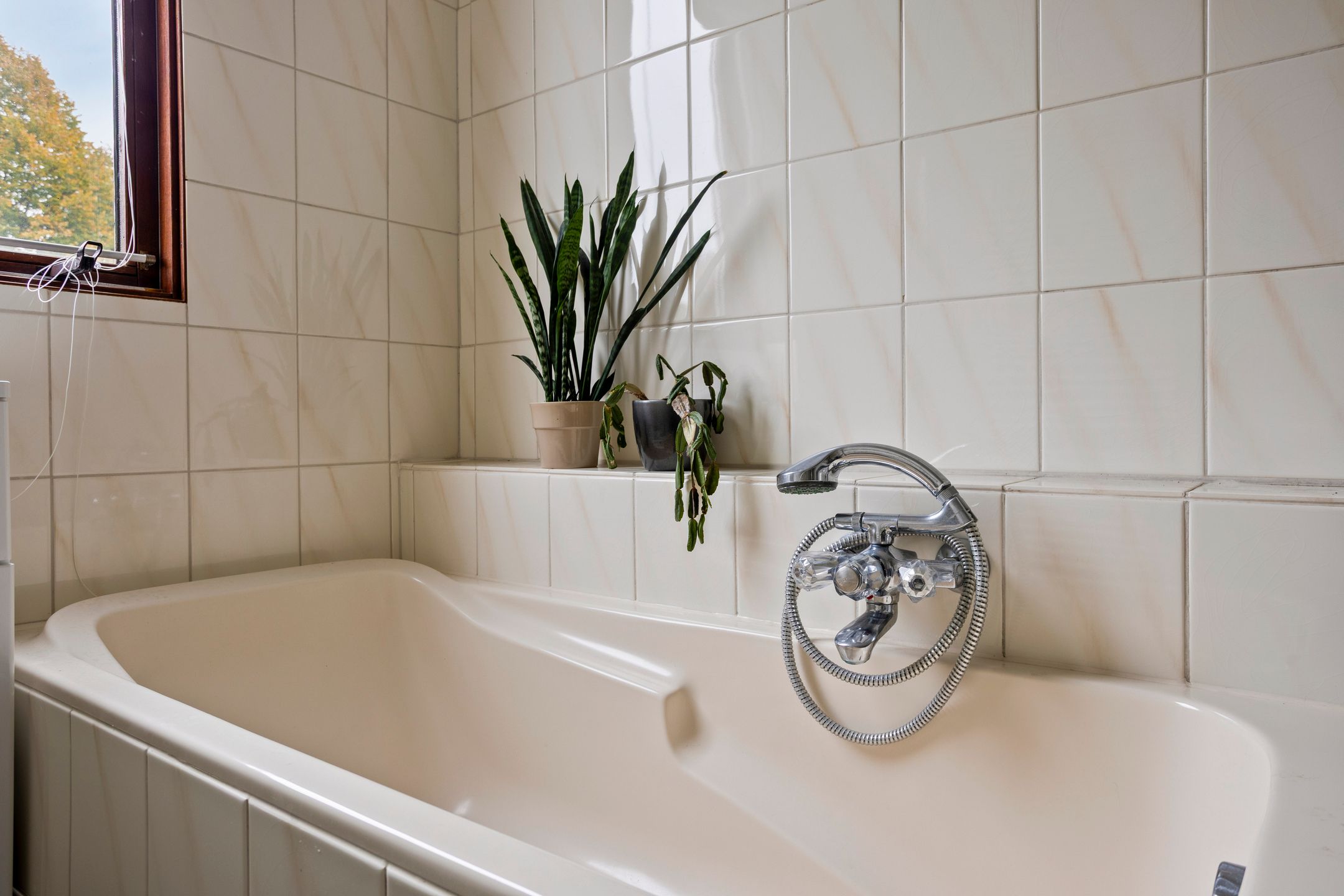 Foto 21 van Hoogmeer 1511