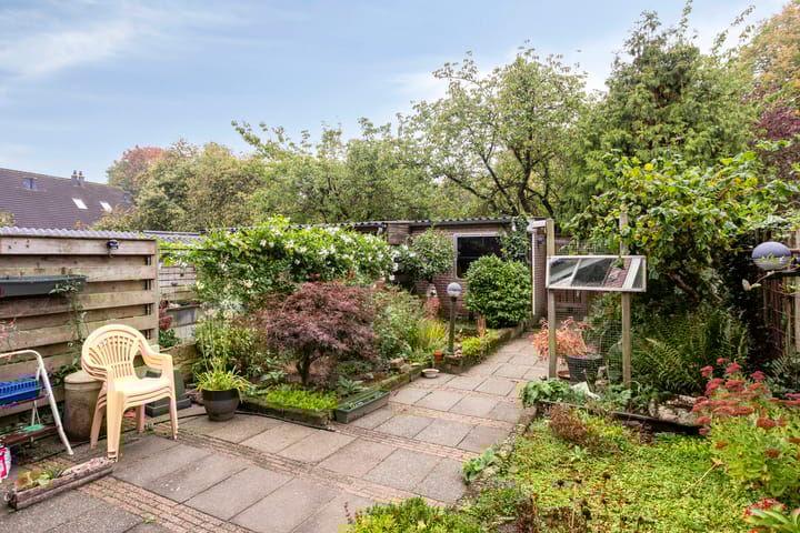 Foto 26 van Hoogmeer 1511