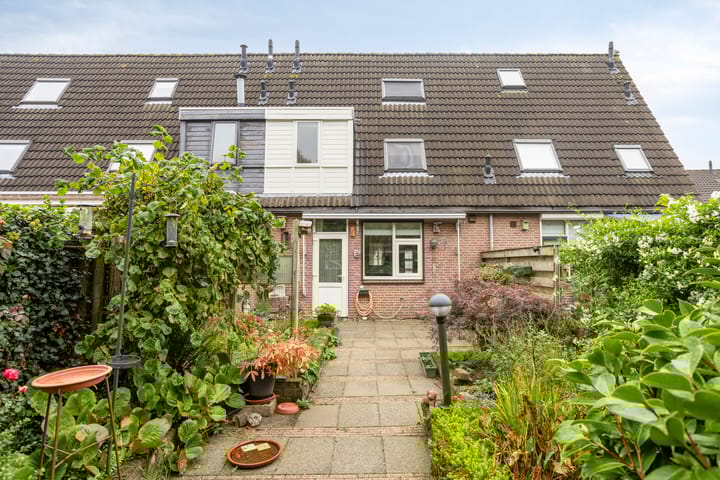 Foto 29 van Hoogmeer 1511