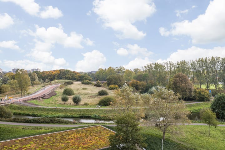 Foto 51 van Dirk Hartogstraat 209