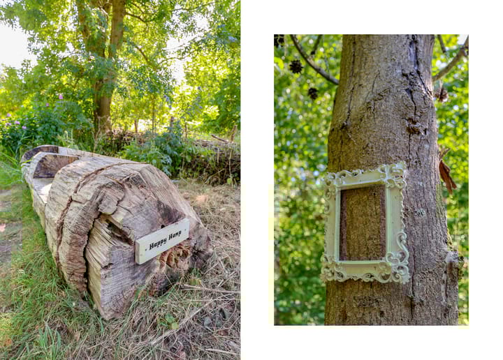 Foto 40 van Krachtveld 21