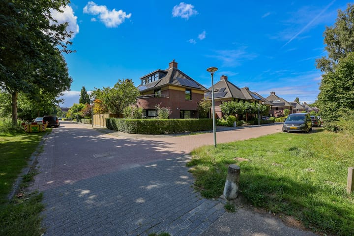 Foto 45 van Krachtveld 21