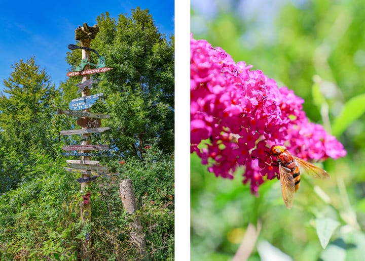 Foto 46 van Krachtveld 21