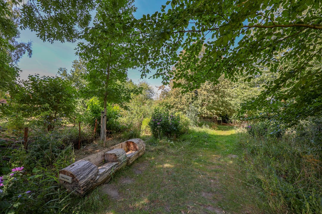 Foto 47 van Krachtveld 21