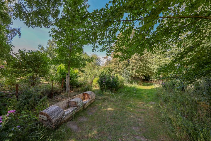 Foto 47 van Krachtveld 21