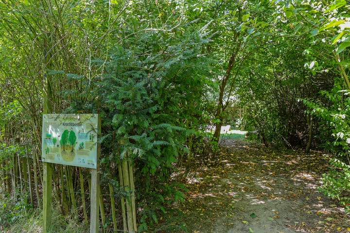 Foto 48 van Krachtveld 21