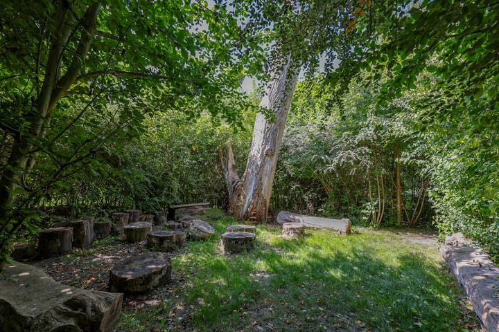 Foto 49 van Krachtveld 21