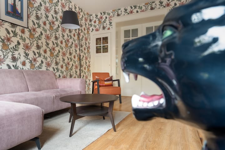 Foto 10 van Samuel Mullerplein 14-A